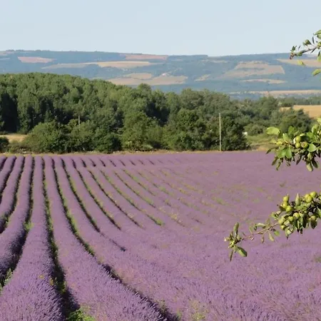Mas La Miellerie - Charme Authentique Et Nature Дом отдыха Simiane-la-Rotonde
