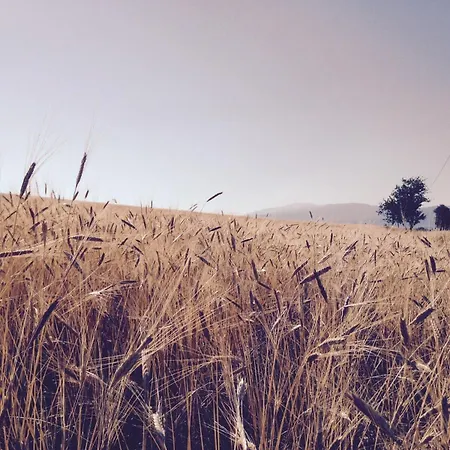 Mas La Miellerie - Charme Authentique Et Nature