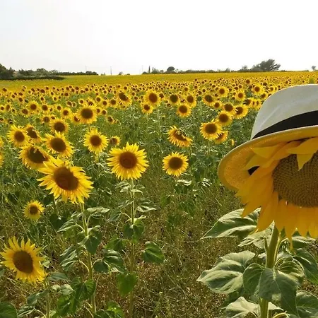 Mas La Miellerie - Charme Authentique Et Nature * Simiane-la-Rotonde