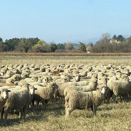 Dom wakacyjny Mas La Miellerie - Charme Authentique Et Nature