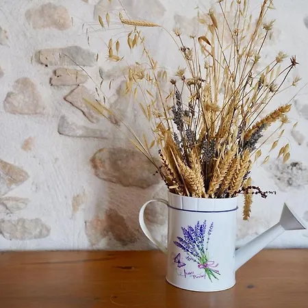 Mas La Miellerie - Charme Authentique Et Nature Dom wakacyjny Simiane-la-Rotonde