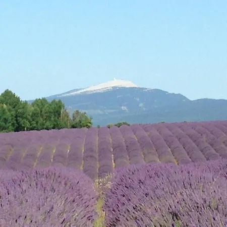 Mas La Miellerie - Charme Authentique Et Nature Simiane-la-Rotonde
